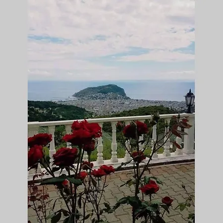 Bektas Seaview 3+1 For Rent *
